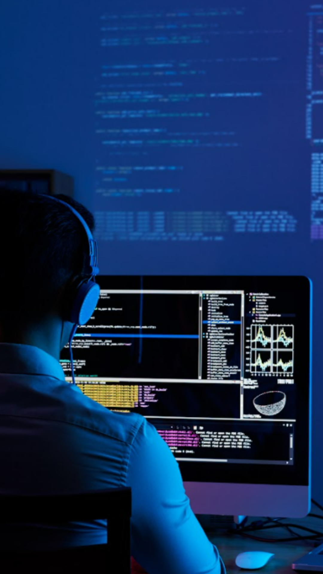 Desarrollo Web